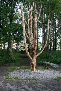 graaf regenboog boom beschilderen groep 8 de goede herder 3 juni 2015 (1)
