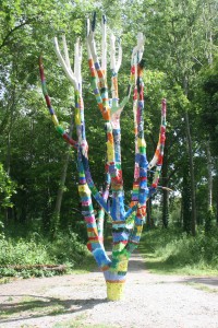 graaf regenboog boom beschilderen groep 8 de goede herder 3 juni 2015 (175)